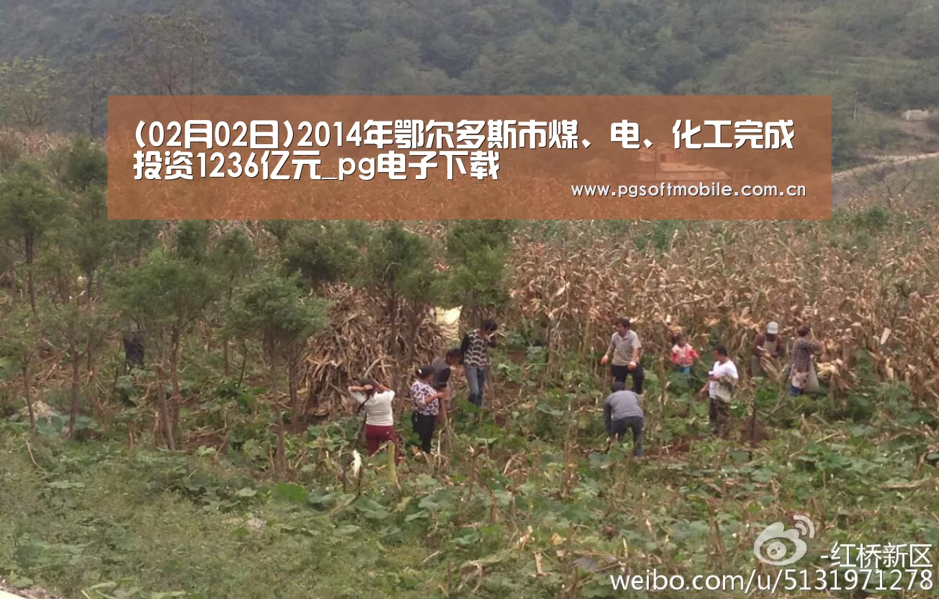 (02月02日)2014年鄂尔多斯市煤、电、化工完成投资1236亿元_pg电子下载(图1) pg电子入口
