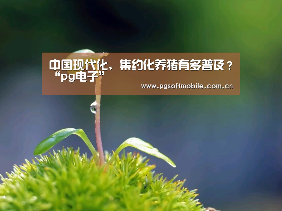 pg电子下载