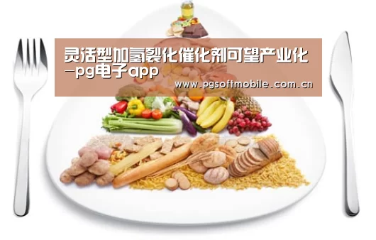 灵活型加氢裂化催化剂可望产业化-pg电子app(图1) pg电子入口