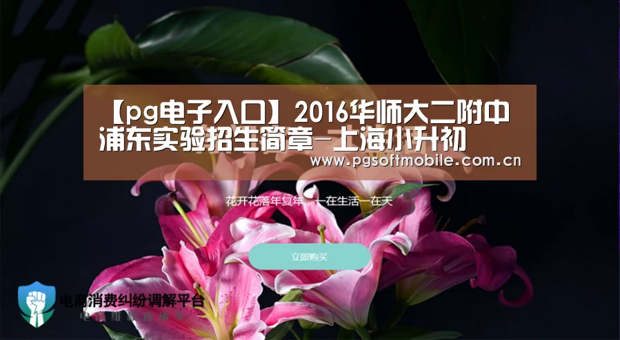 【pg电子入口】2016华师大二附中浦东实验招生简章-上海小升初(图2) pg电子