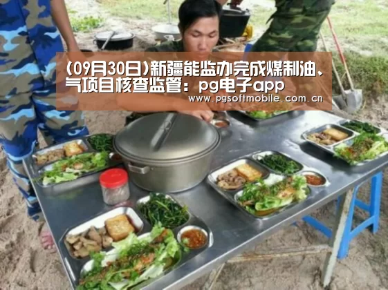 (09月30日)新疆能监办完成煤制油、气项目核查监管:pg电子app(图2) pg电子
