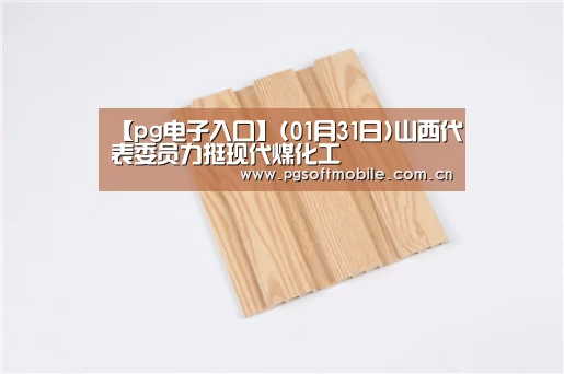 【pg电子入口】(01月31日)山西代表委员力挺现代煤化工(图3) pg电子app