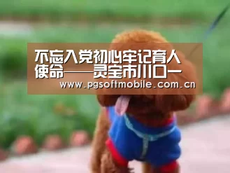 不忘入党初心牢记育人使命——灵宝市川口一中党支部召开预备党员转正会议|pg电子(图3) pg电子