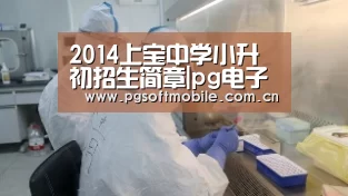 2014上宝中学小升初招生简章|pg电子入口(图1) pg电子入口